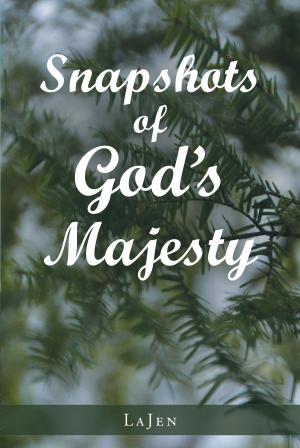 bigCover of the book Snapshots of God's Majesty by 