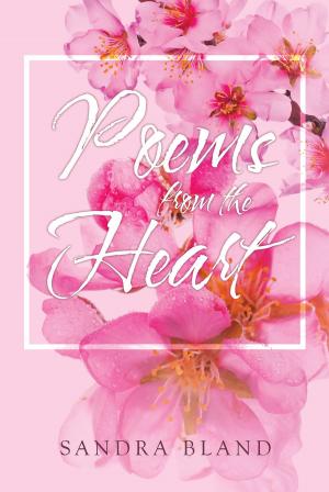 Cover of the book Poems from the Heart by Duane Engdahl