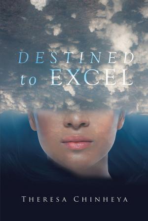Cover of the book Destined to Excel by Robert N. McGrath, Ph.D.