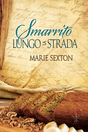 Cover of the book Smarrito lungo la strada by Brandon Witt