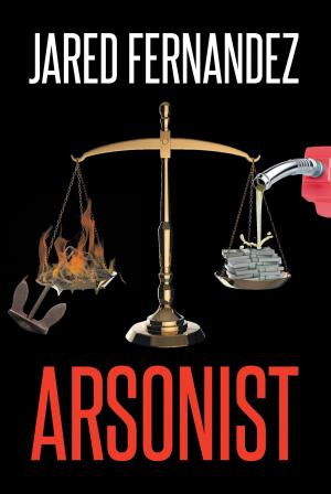 Cover of the book Arsonist by Braggie Anne Mabry