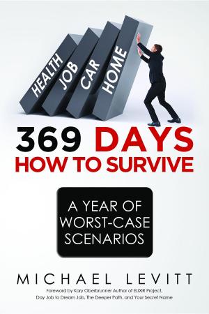 Cover of the book 369 Days by Vivian Orgel