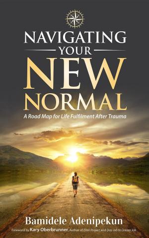 Cover of the book Navigating Your New Normal by Peter James Johnson