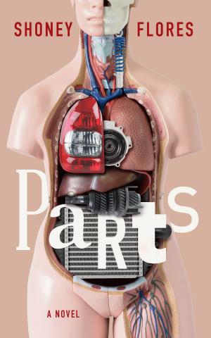 Cover of the book Parts by David R. Pichaske