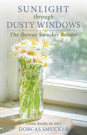 Book cover of Sunlight Through Dusty Windows
