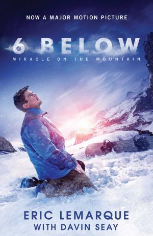 Cover of the book 6 Below by Reinhard Bonnke