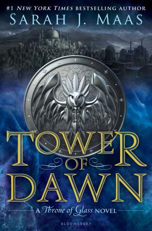 bigCover of the book Tower of Dawn by 