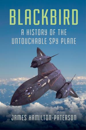 Cover of the book Blackbird: A History of the Untouchable Spy Plane by Marcus McGee