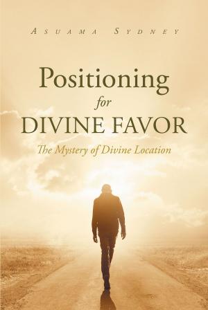 Cover of the book Positioning For Divine Favor by Patty Bray