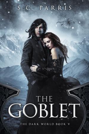 Book cover of The Goblet