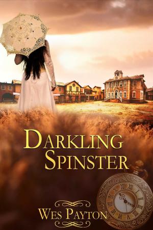 Cover of the book Darkling Spinster by N.C. East