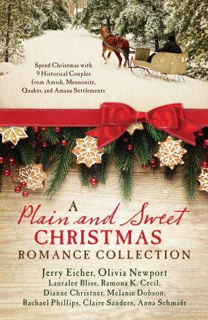 Book cover of A Plain and Sweet Christmas Romance Collection