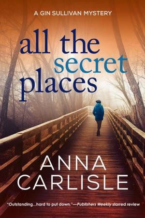 Cover of the book All the Secret Places by Lara Dearman
