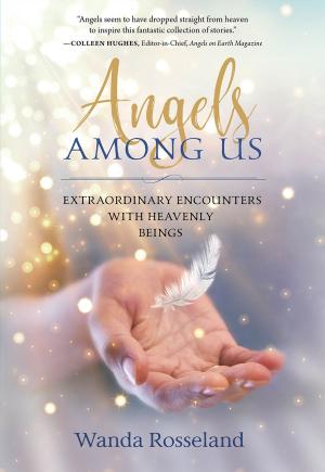 Cover of the book Angels Among Us by Charles R. Swindoll