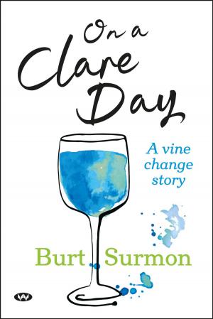 bigCover of the book On a Clare Day by 