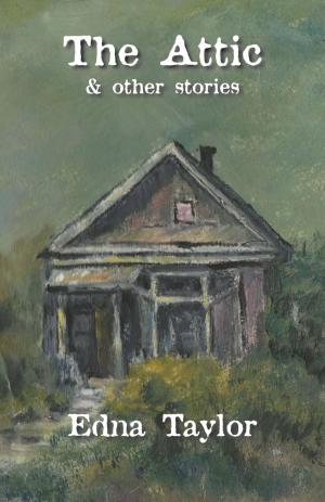 Cover of the book The Attic by Jan Norman
