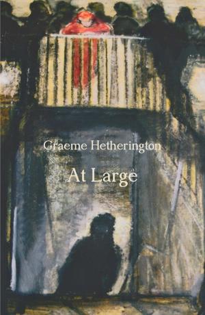 Cover of the book At Large by Peter Hansen