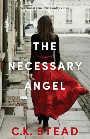 Cover of the book The Necessary Angel by Blanche d'Alpuget