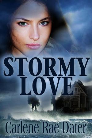 Cover of the book Stormy Love by Kristy Brown