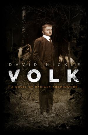 Cover of the book Volk by Brent Hayward