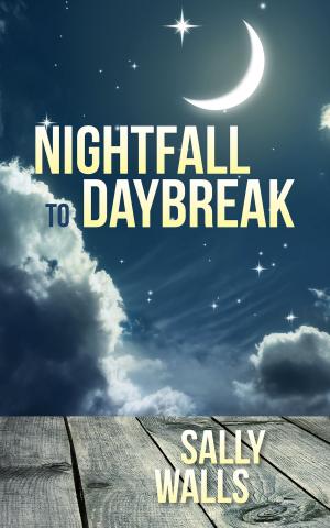 Cover of the book Nightfall to Daybreak by CJ Butler