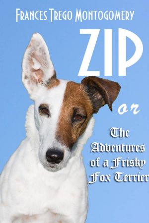 Cover of the book Zip or The Adventures of a Frisky Fox Terrier by Bennett Arnold