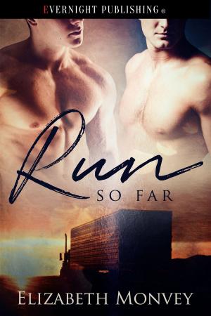 Cover of the book Run So Far by Lorraine Nelson
