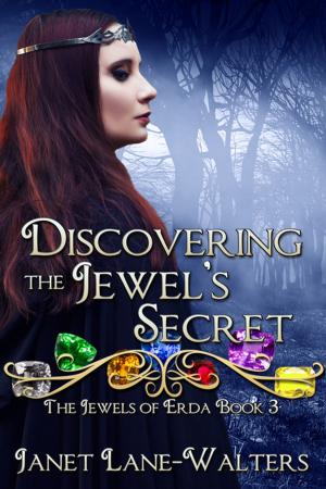 bigCover of the book Discovering the Jewels' Secret by 