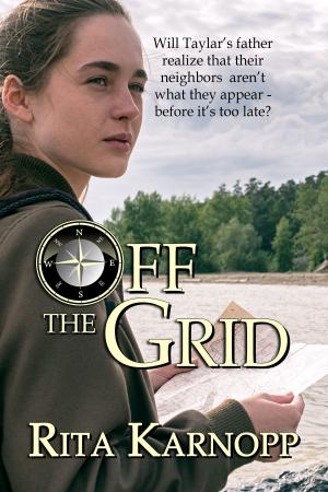 Cover of the book Off The Grid by Brian Sellars