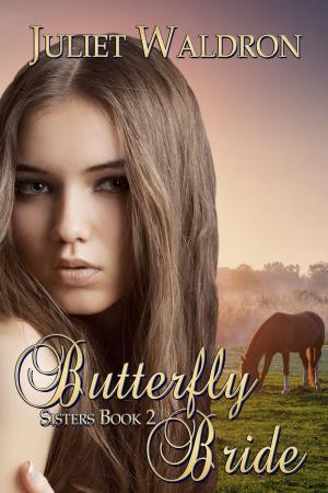Cover of the book Butterfly Bride by Vijaya Schartz