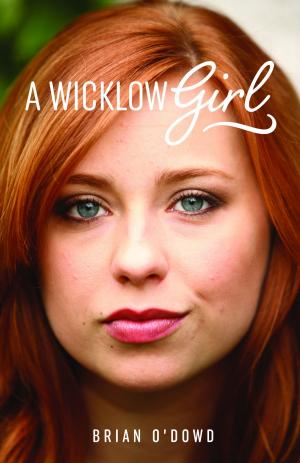 Book cover of A Wicklow Girl