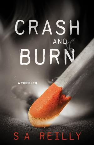 Cover of the book Crash and Burn by Dr. Guy Robert Blais