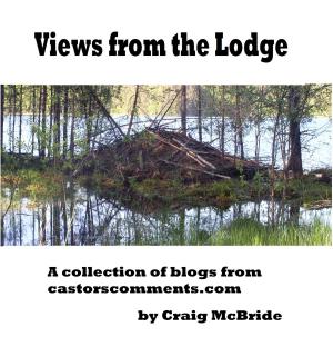 Book cover of Views from the Lodge