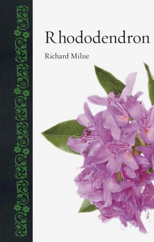 bigCover of the book Rhododendron by 