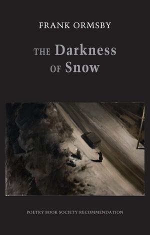 Cover of the book The Darkness of Snow by Matthew Sweeney