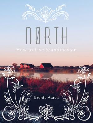 Cover of the book North by Roger Hermiston