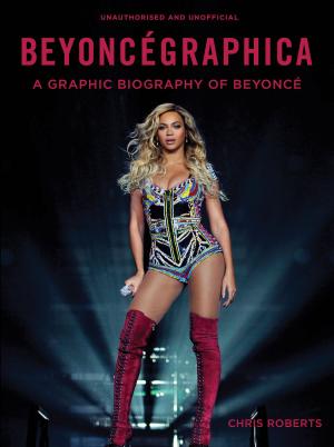 Cover of the book Beyoncegraphica by David Rayvern Allen