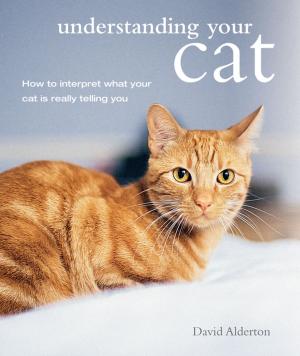 Cover of the book Understanding Your Cat by Anna Black