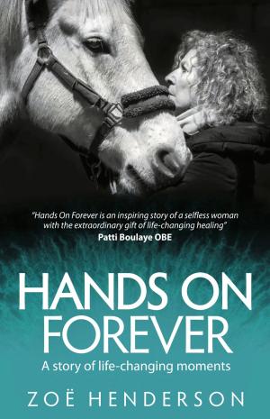 Cover of the book Hands On Forever: A story of life-changing moments by Tony Hertz
