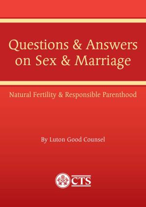 Cover of the book Questions & Answers about Sex & Marriage by Stratford Caldecott
