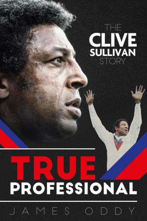 Cover of the book True Professional by Declan Lynch