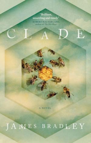 Cover of the book Clade by Peter Morfoot