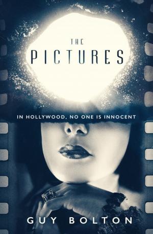 Cover of The Pictures by Guy Bolton, Oneworld Publications