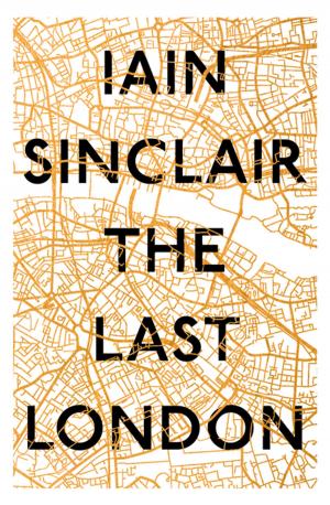 Cover of the book The Last London by Claire Hajaj