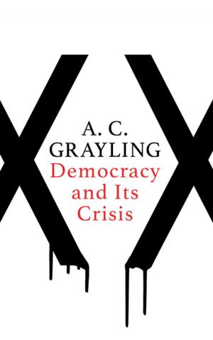 Cover of the book Democracy and Its Crisis by James O. Finckenauer