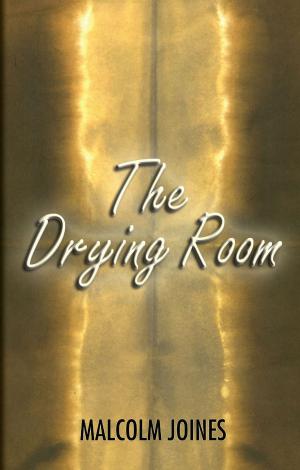 Cover of the book The Drying Room by Russell Davis