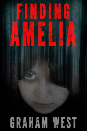 Book cover of Finding Amelia