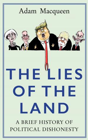 Book cover of The Lies of Land