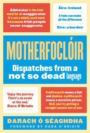 Cover of the book Motherfoclóir by Graham Hurley