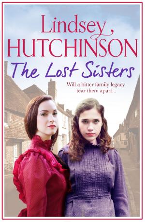 Cover of the book The Lost Sisters by Carys Jones